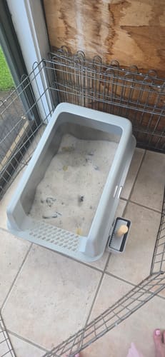 Customer photo review of 1 Month Supply – 2 Cat