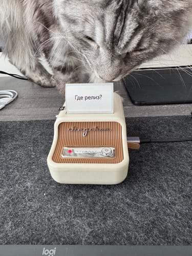 Customer photo review of NIIMBOT B21 Pro 300dpi Label Printer, Photo Printing, Bluetooth Connection for Home, Business, Office