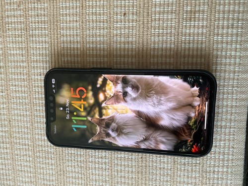 Peter S. review of 3 in 1 Schutzfolie - iPhone image 1 out of 1