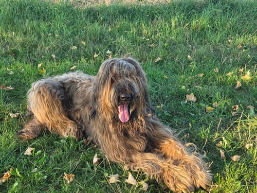 Customer photo review of Active Hips