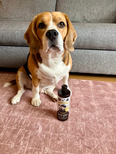 Customer photo review of Bugalugs Men: Cedarwood & Ylang Body Wash