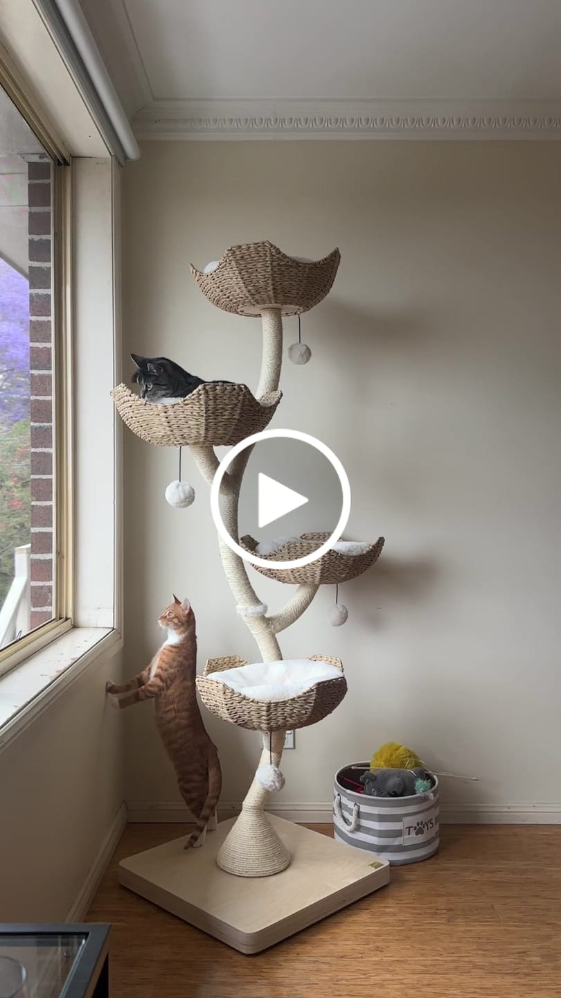 Customer video review of MICHU Ivy Cat Tower Deluxe 4-Tier Designer Tall Cat Tree