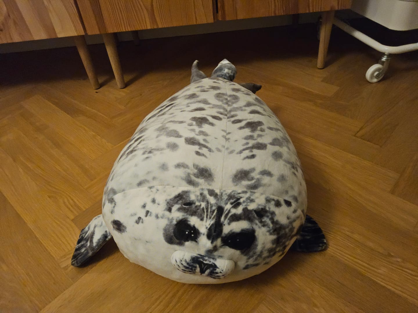 Customer photo review of Seal Soft Stuffed Plush Throw Pillow Cushion Toy