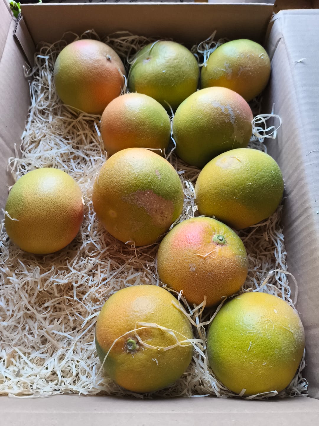 Customer photo review of Grapefruit rose Bio von Andres Sparpreis-Box %
