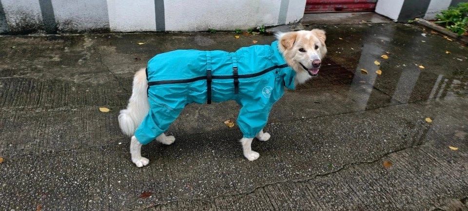 Customer photo review of Chubasquero MellowPurr Ventura – Protección Exterior Profesional