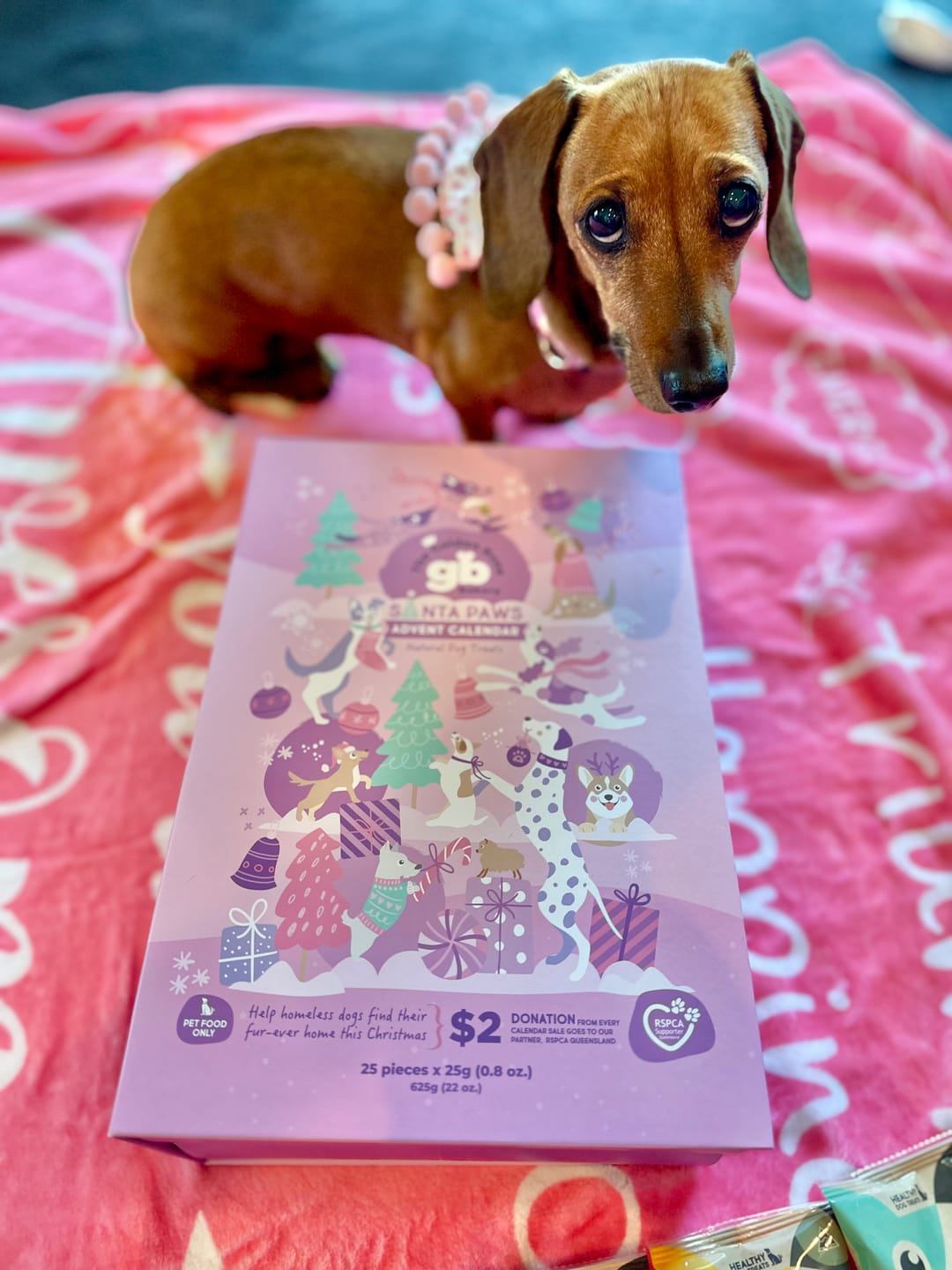 Customer photo review of Christmas Dog Treats Advent Calendar
