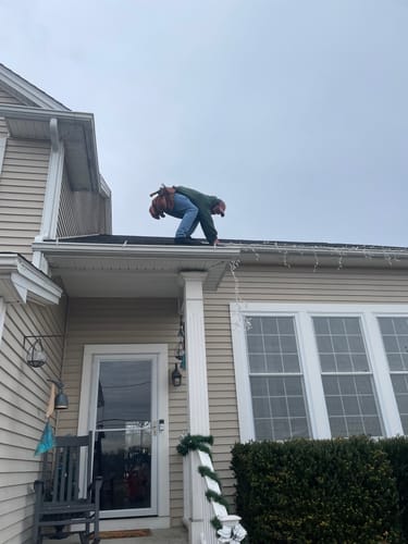 Customer photo review of Ursidae - Blackout