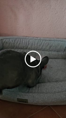 Customer video review of Multi Vital