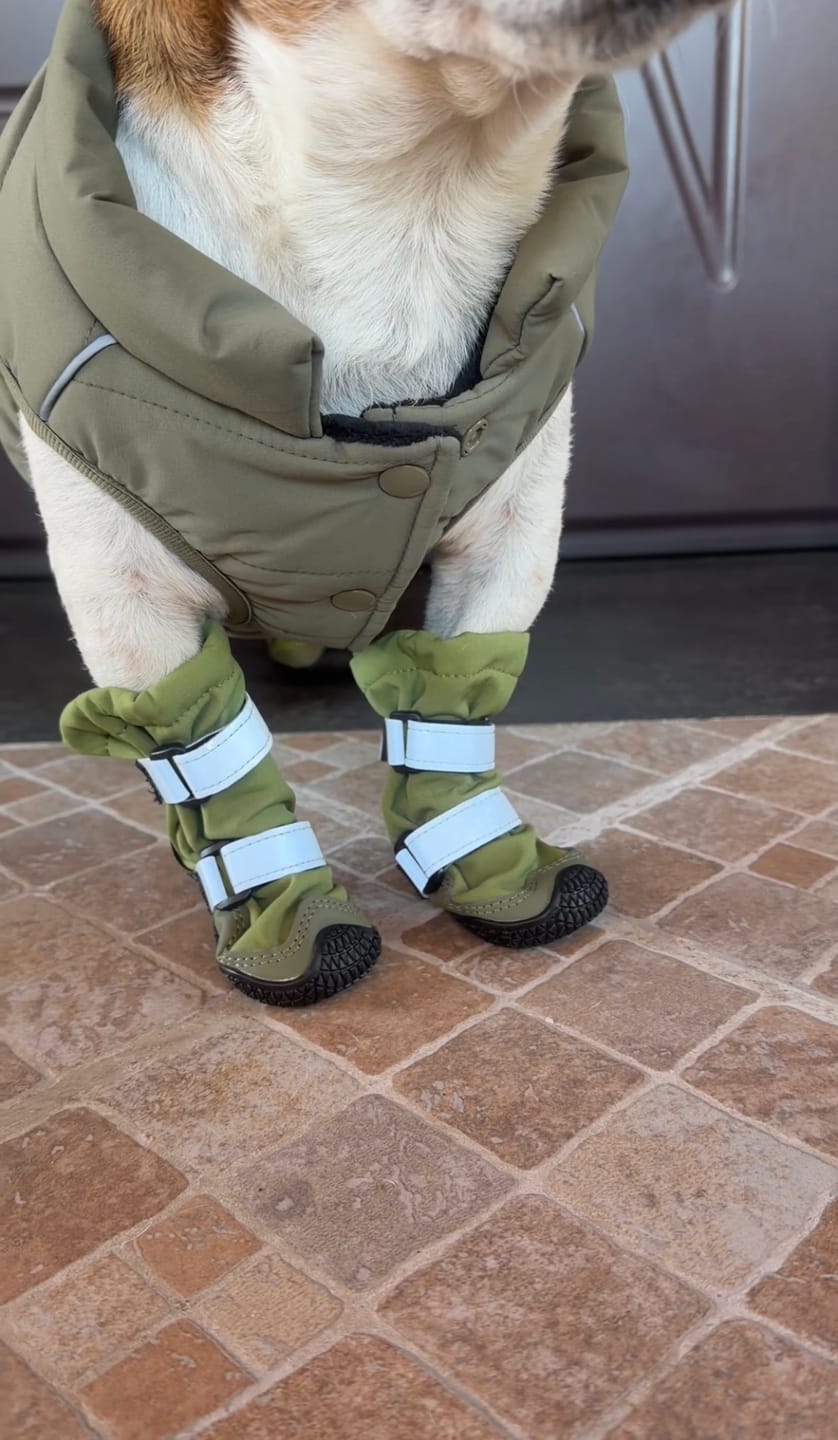 Customer photo review of Flex Shell Waterproof Dog Boots - Green