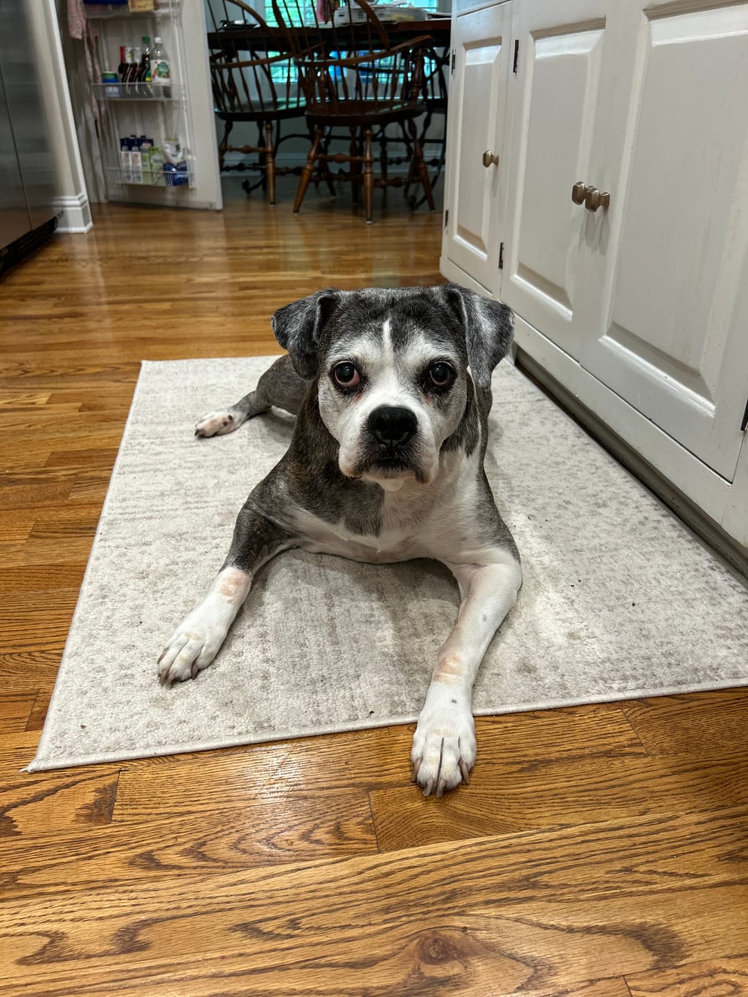 Customer photo review of Buddy Guard + Omega Love+