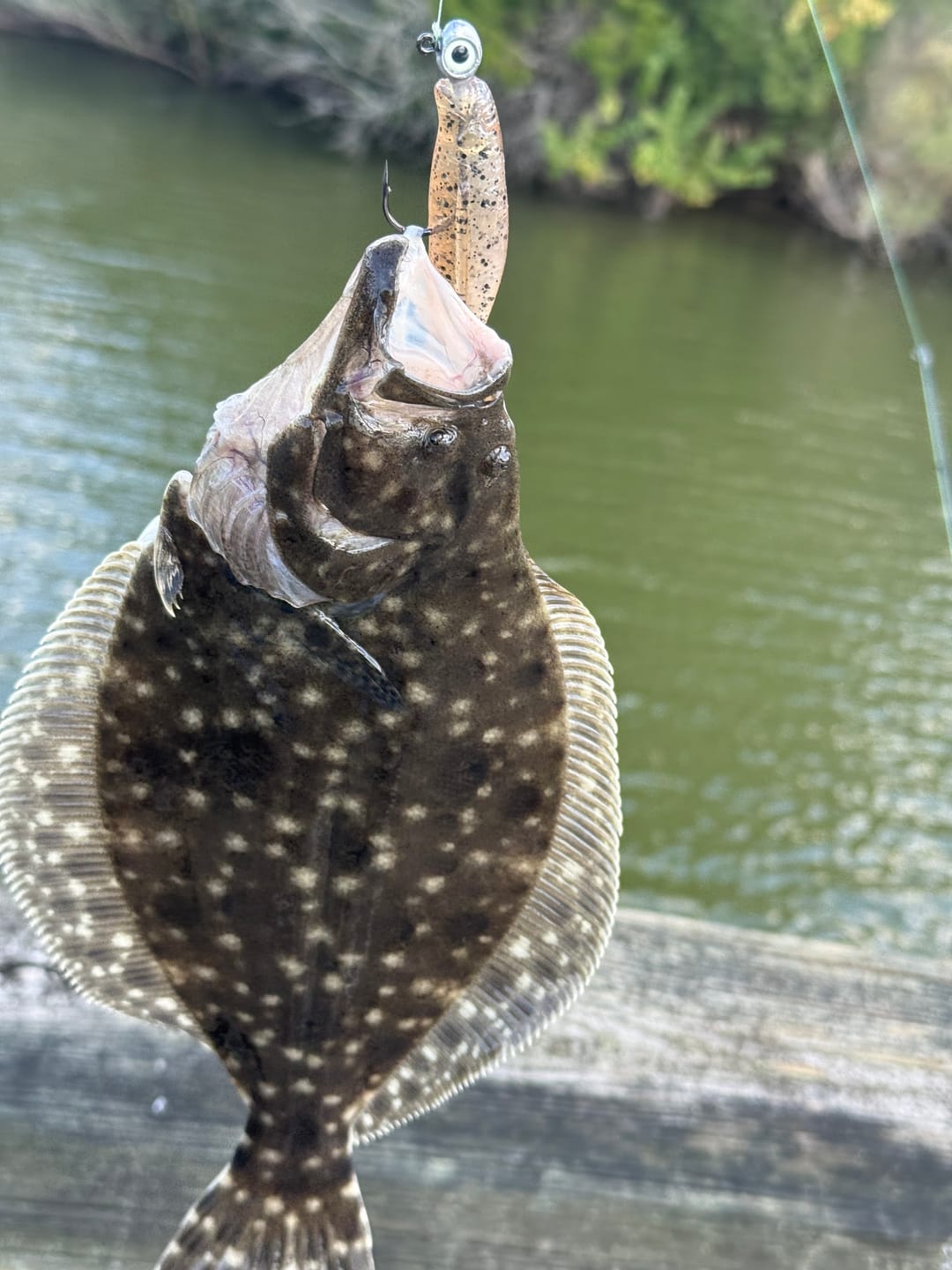 Customer photo review of Kingdom Baits Swimbait