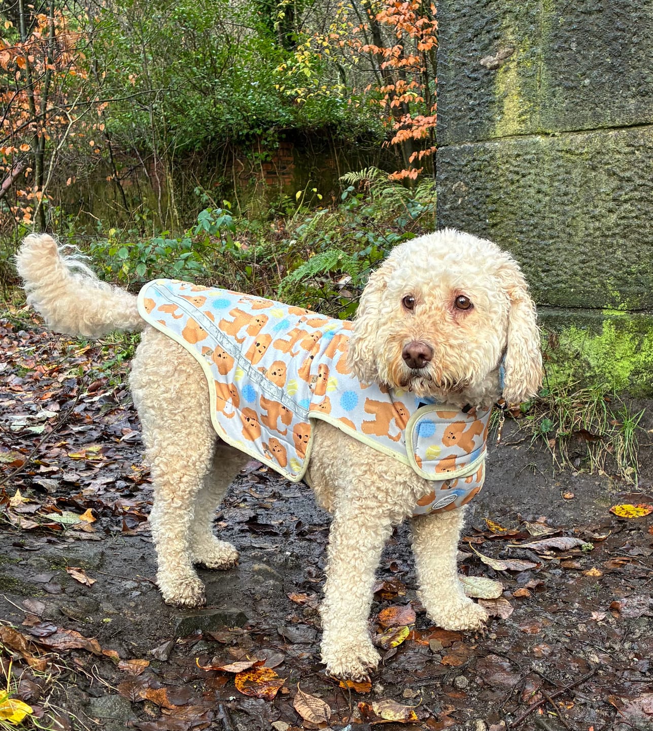Customer photo review of Rain Jacket - Curly Club