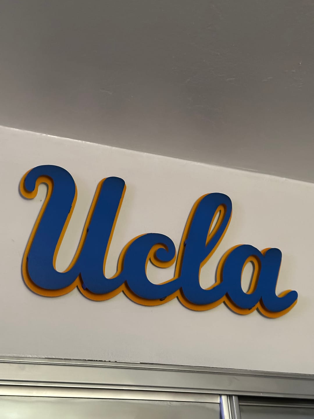 Customer photo review of Prototype Ucla