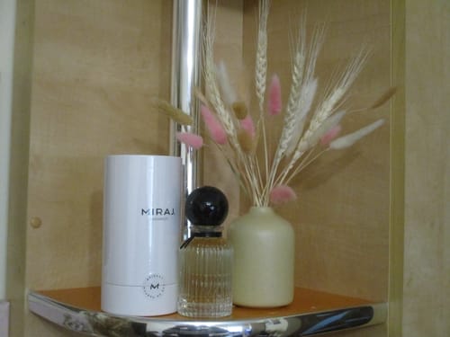 Customer photo review of Miraj Brizant