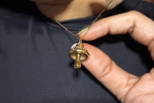 Customer photo review of Collar Fungus