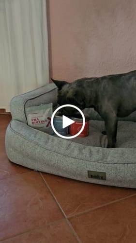 Customer video review of Relax Time