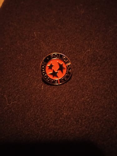 Customer photo review of Resident Evil Stars S.T.A.R.S. Raccoon Police Badge Lapel Pin Movie Props
