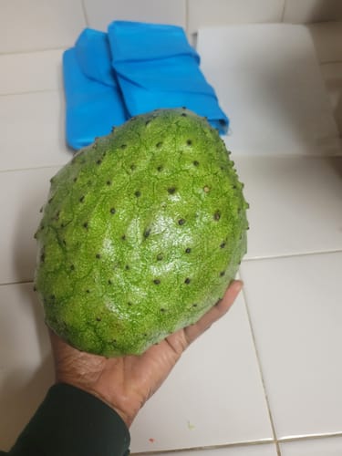 Customer photo review of Soursop