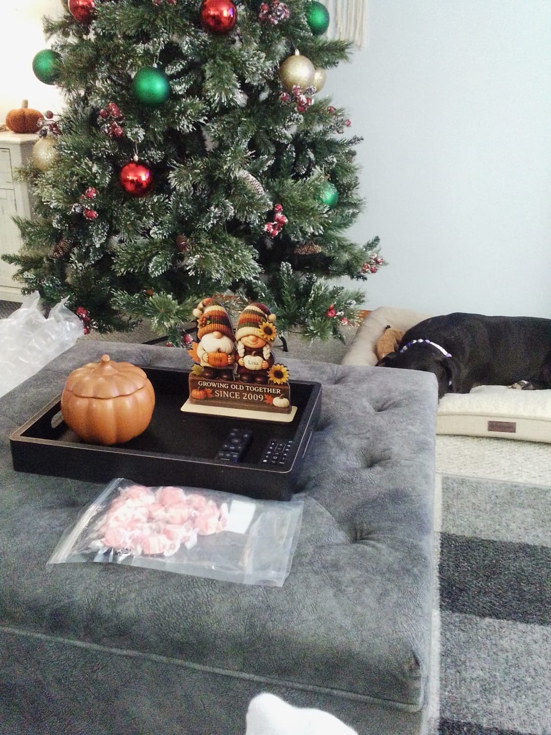 Customer photo review of Personalized "Growing Old Together" Gnome Plaque With Couple Names & Sunflowers Pumpkins Autumn's Warm Charm For Couple Gift For Grandparent