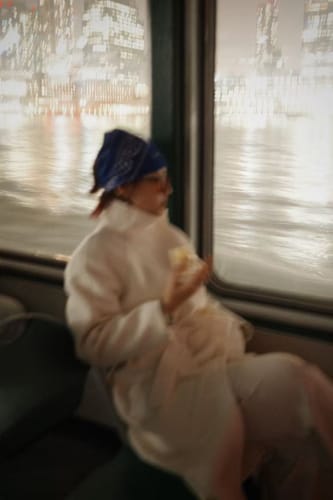 Customer photo review of LILY Platinum Wool Double-Face Coat