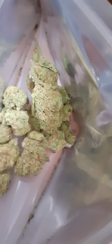 Customer photo review of Sour Jack - Exotic Smalls