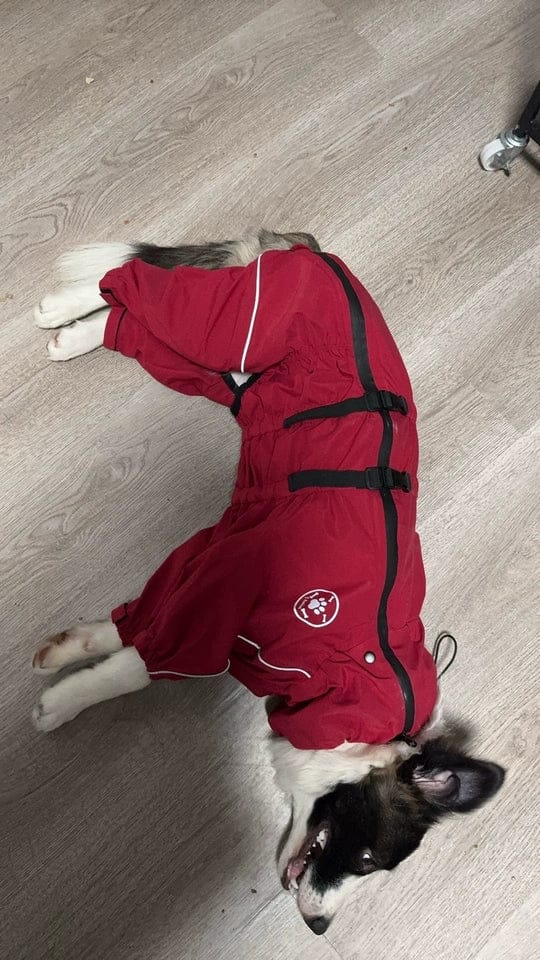 Customer photo review of Chubasquero MellowPurr Ventura – Protección Exterior Profesional