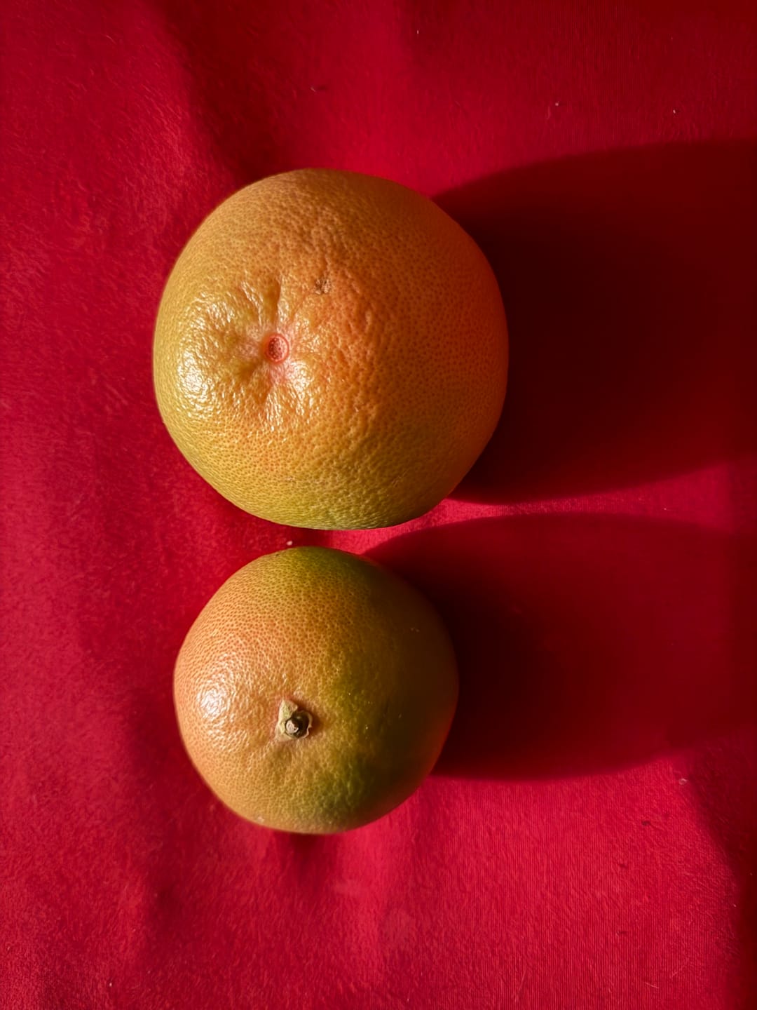 Customer photo review of Grapefruit rose Bio von Andres Sparpreis-Box %