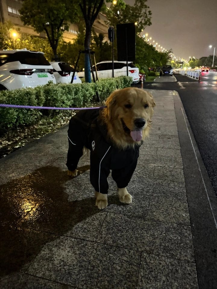 Customer photo review of Chubasquero MellowPurr Ventura – Protección Exterior Profesional