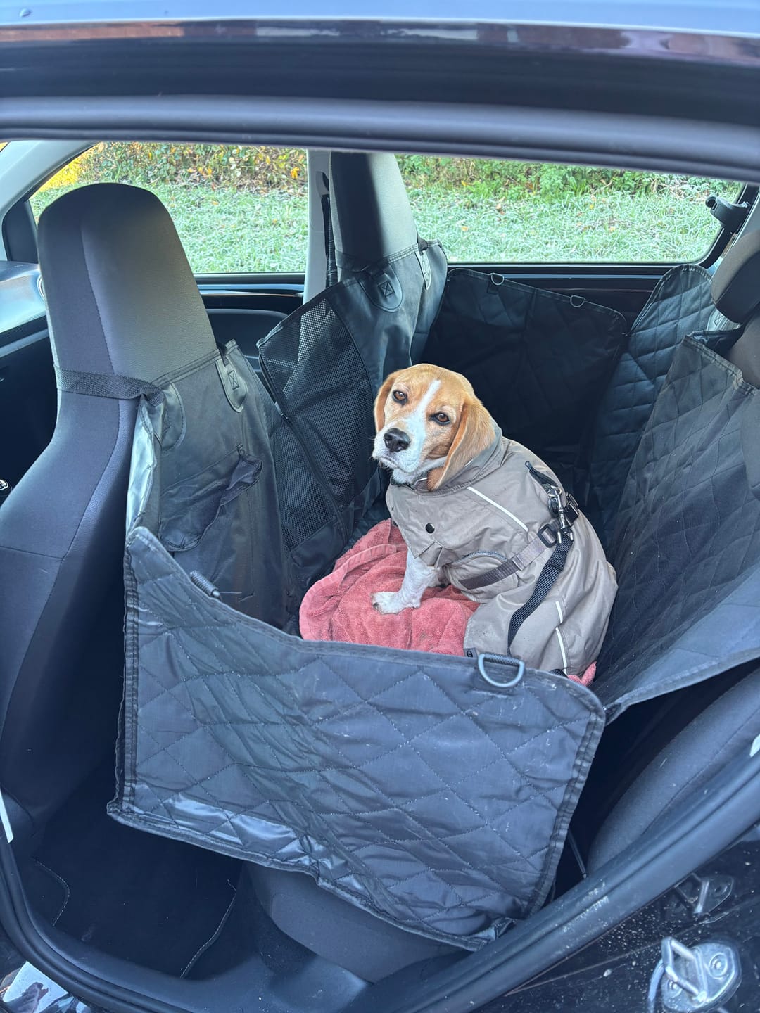 Customer photo review of Pet Perfect Hondendeken Auto - Achterbank en Kofferbak - Waterafstotend