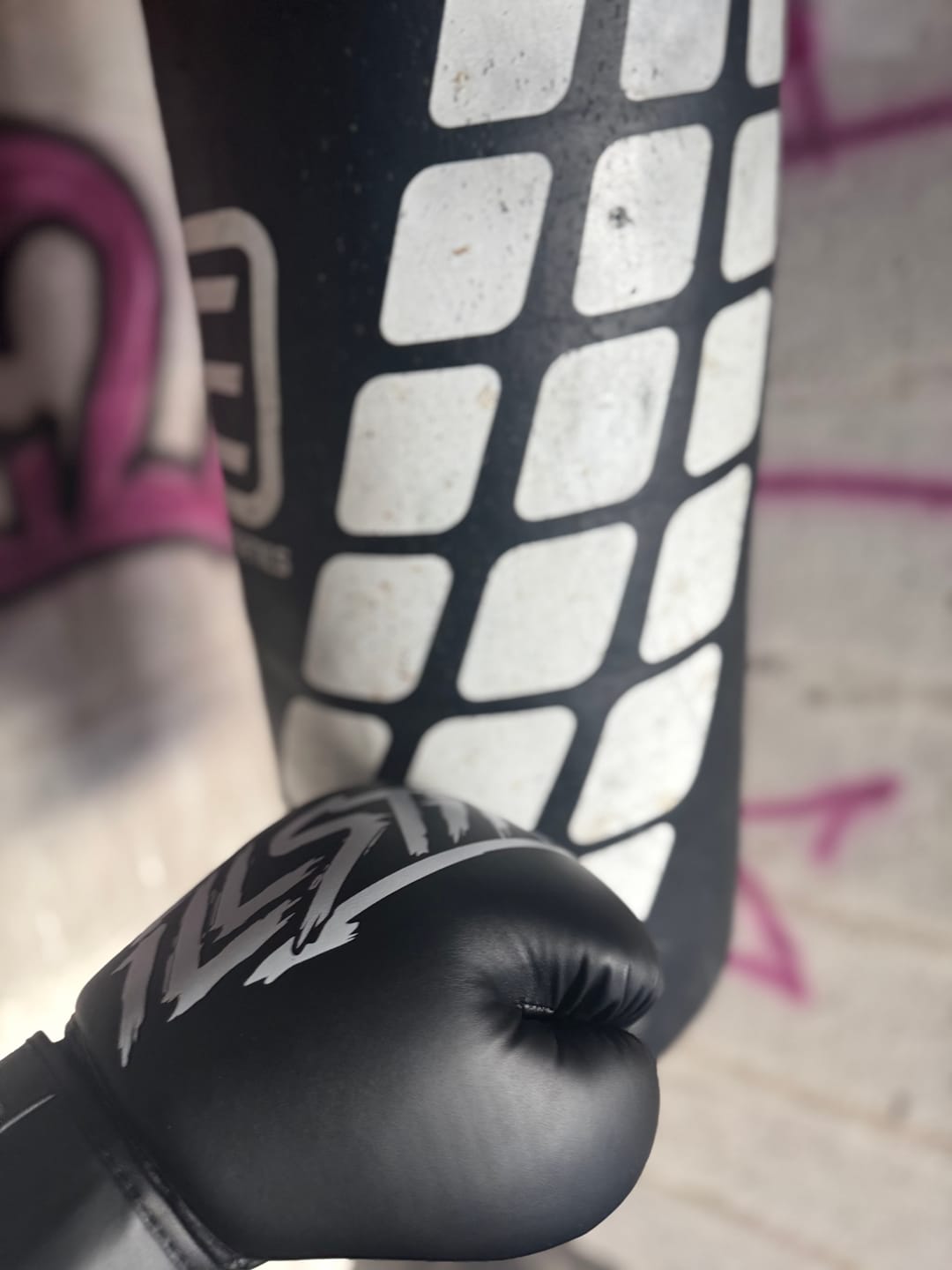 Customer photo review of Skilltech Boxhandschuhe
