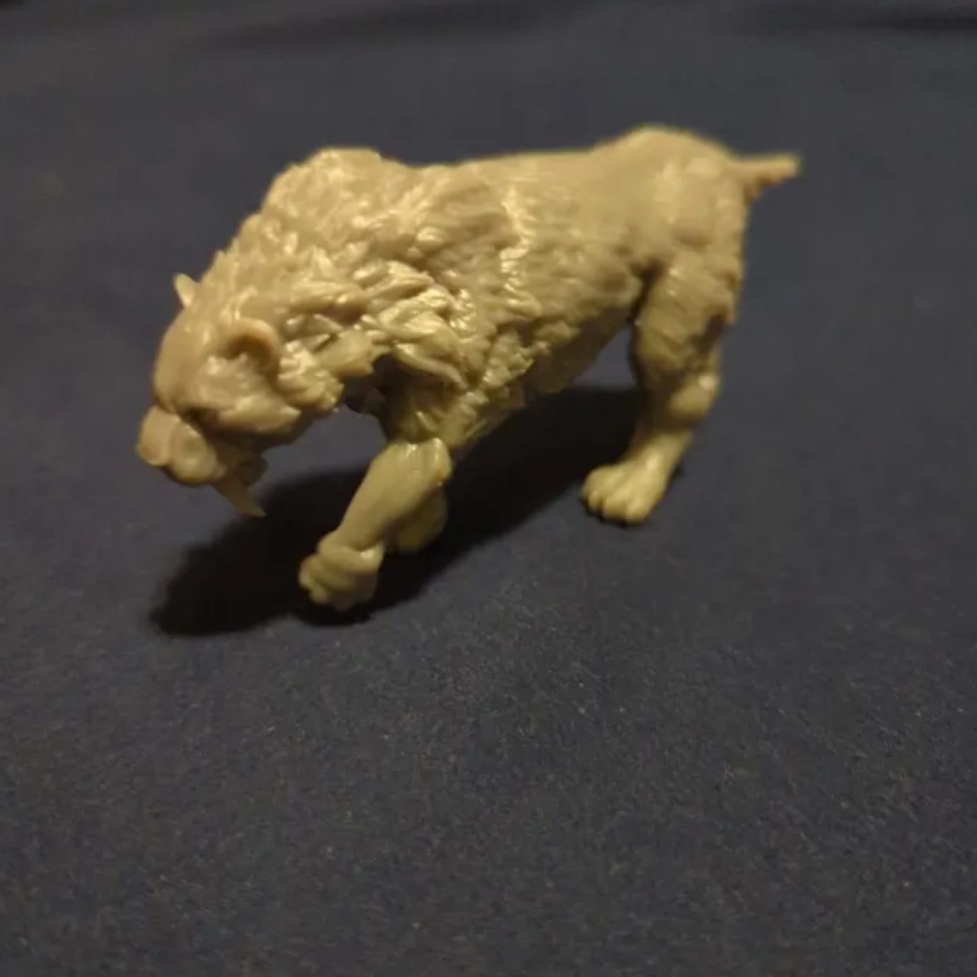Customer photo review of Felidont and Saber Toothed Tiger