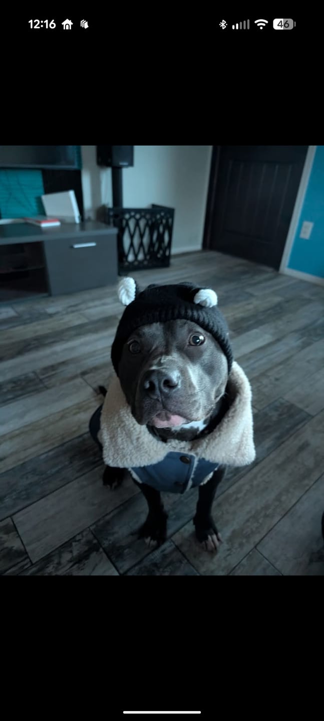 Customer photo review of Workdog Insulated Utility Jacket - Brown