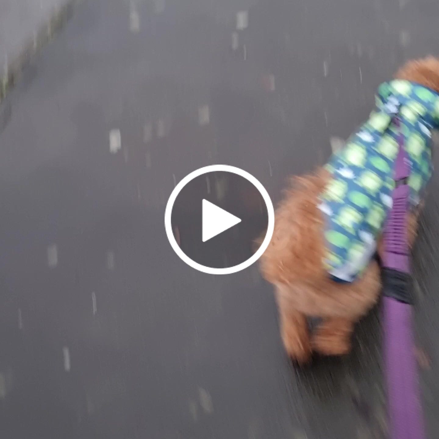 Customer video review of Rain Jacket - Frogging Fabulous