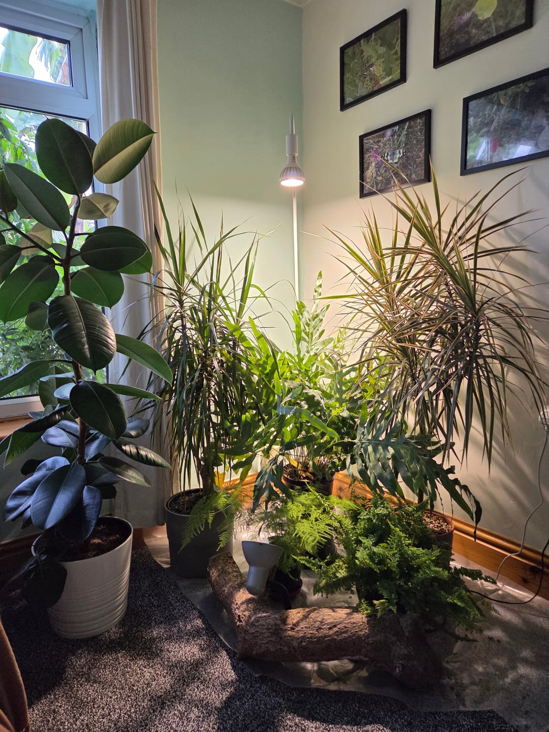 Customer photo review of Pianta Adjustable Floor Lamp