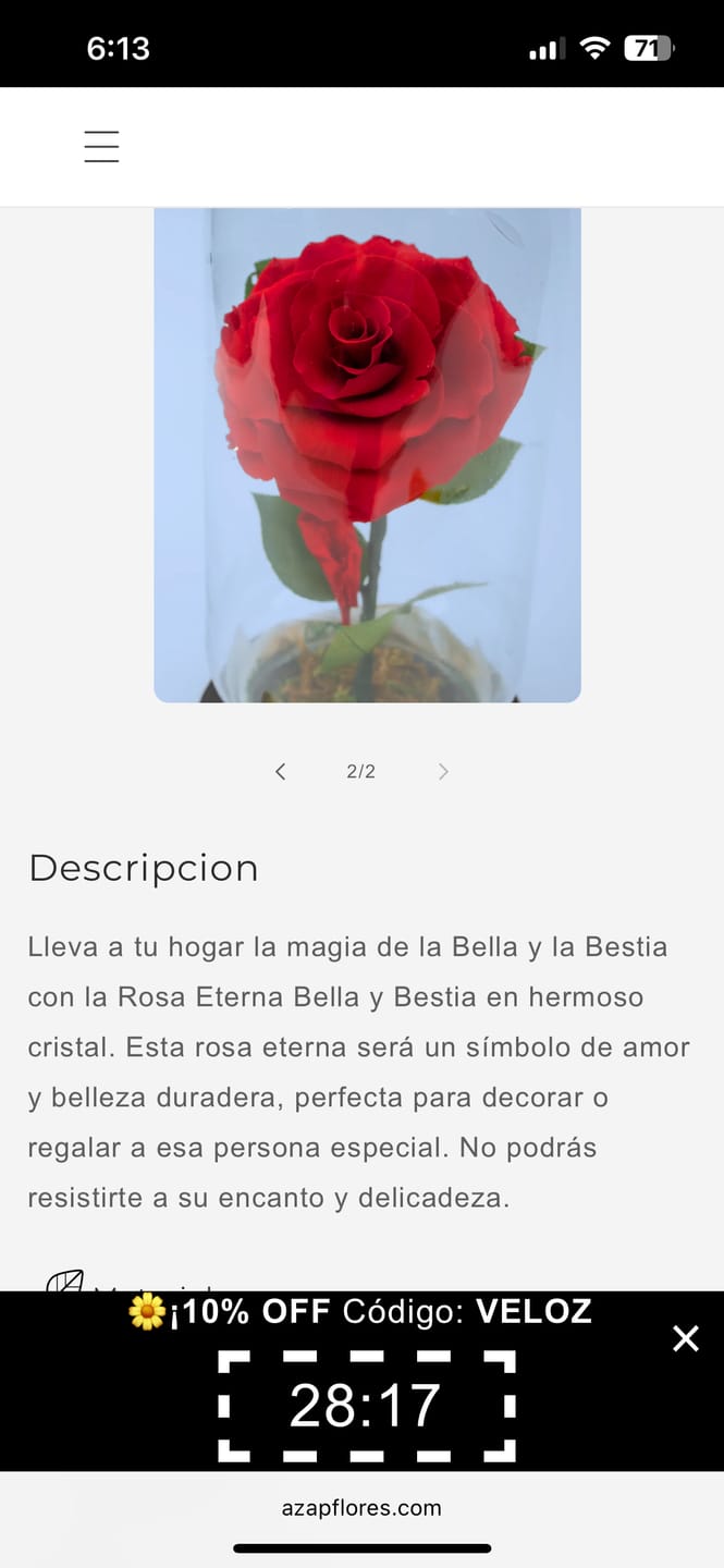 Customer photo review of Rosa Eterna Bella y Bestia SV - Rosa en Cristal