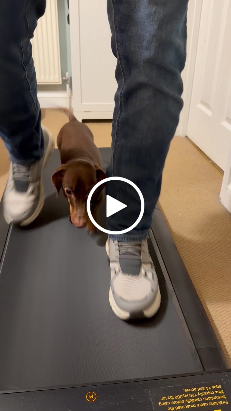 Customer video review of WalkingPad A1 Pro