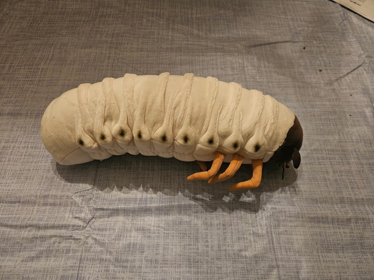 Customer photo review of White Grub Soft Stuffed Plush Toy