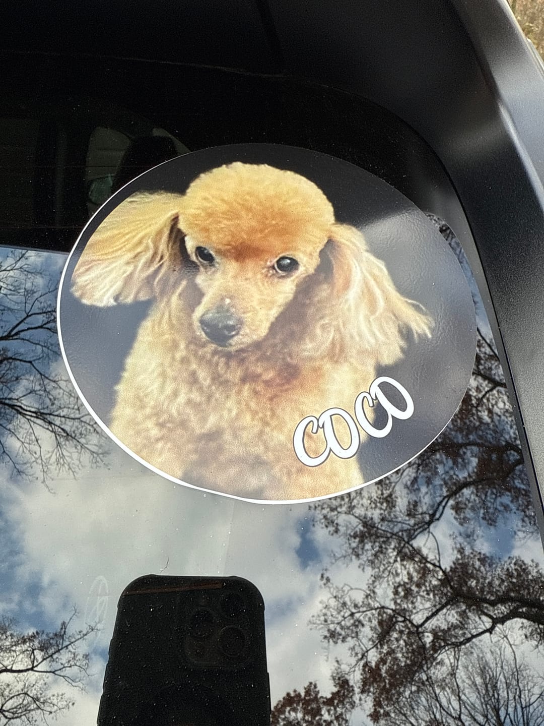 Customer photo review of Your photo -  Personalized Car Sticker