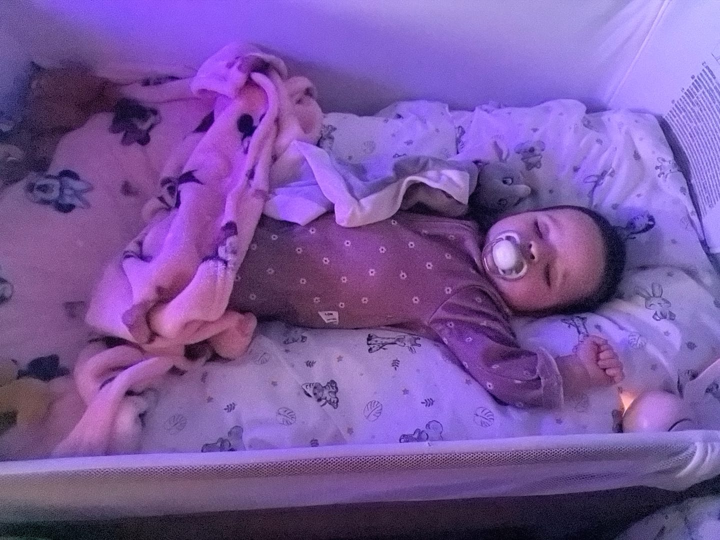 Customer photo review of NIDO PIKABÜ™ 🧸 ideal para bebés a partir de 4 meses - ideal para cuna