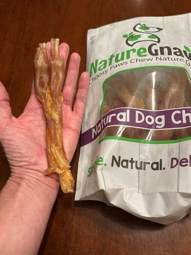 Customer photo review of Beef Tendon Chews 7-11"