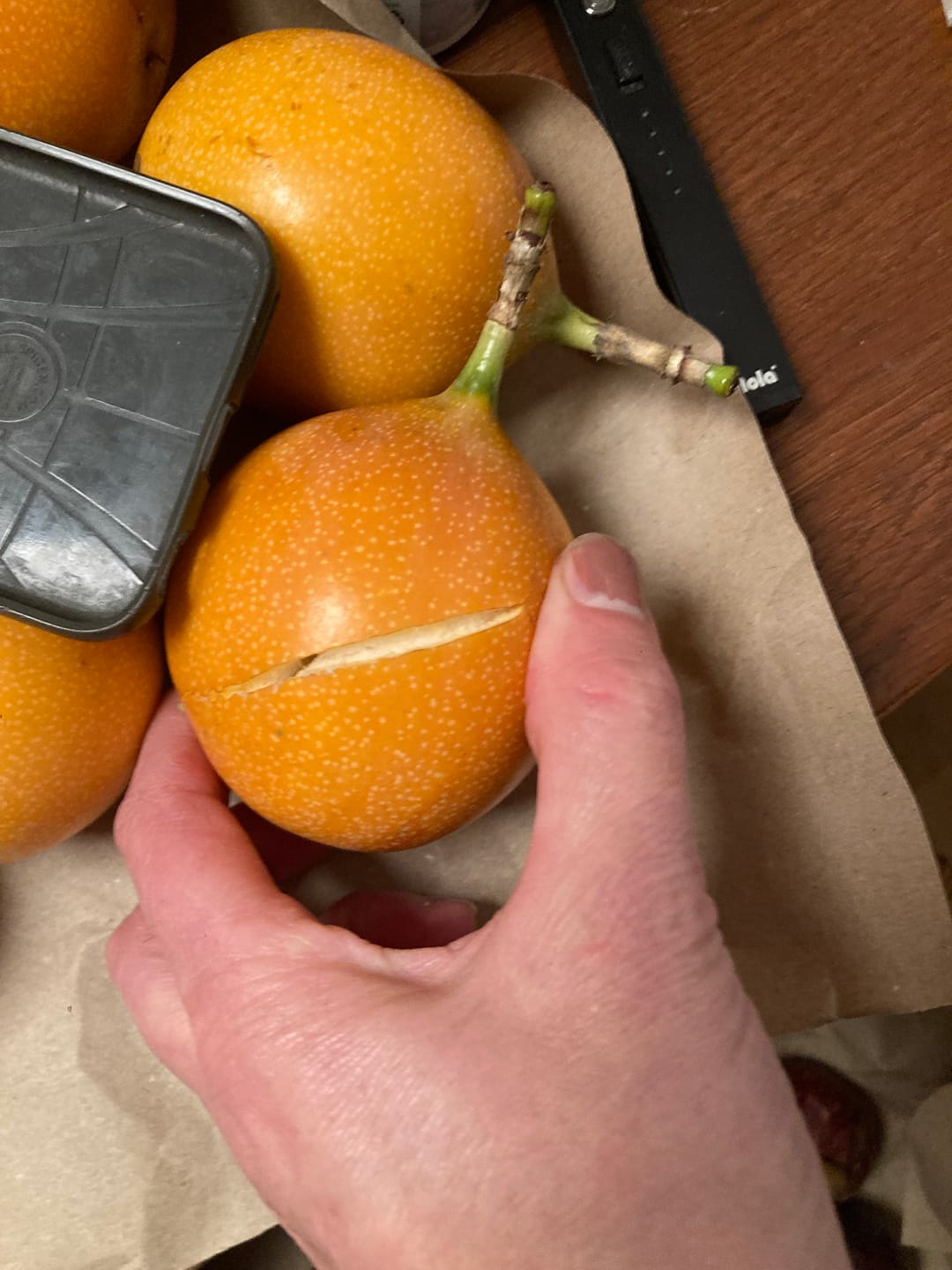 Customer photo review of Granadilla & Mangostan Deluxebox