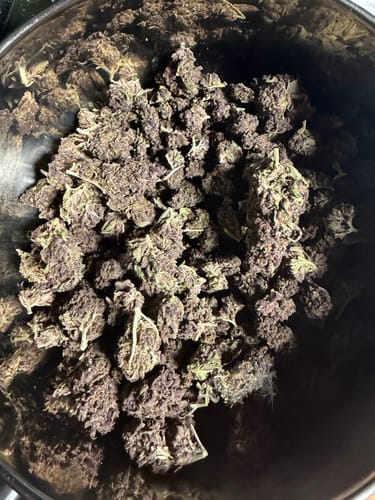 Customer photo review of Tropicana Cherry THCA Flower