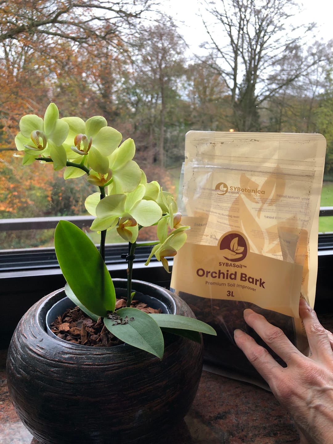 Customer photo review of Orchid Bark