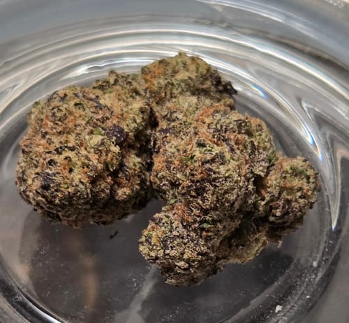 Customer photo review of Blue Gummies