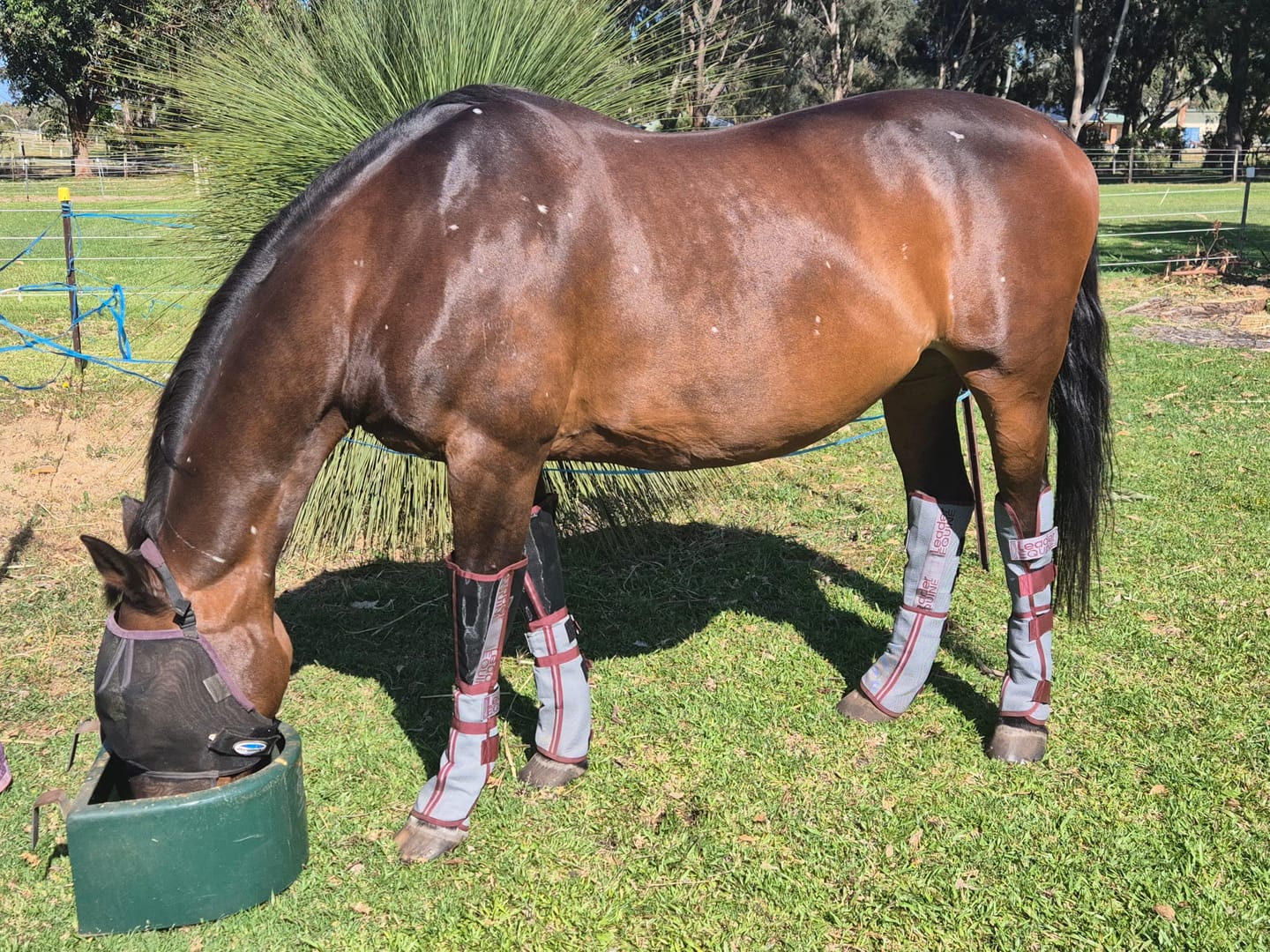 Customer photo review of LE Defender Fly Boots