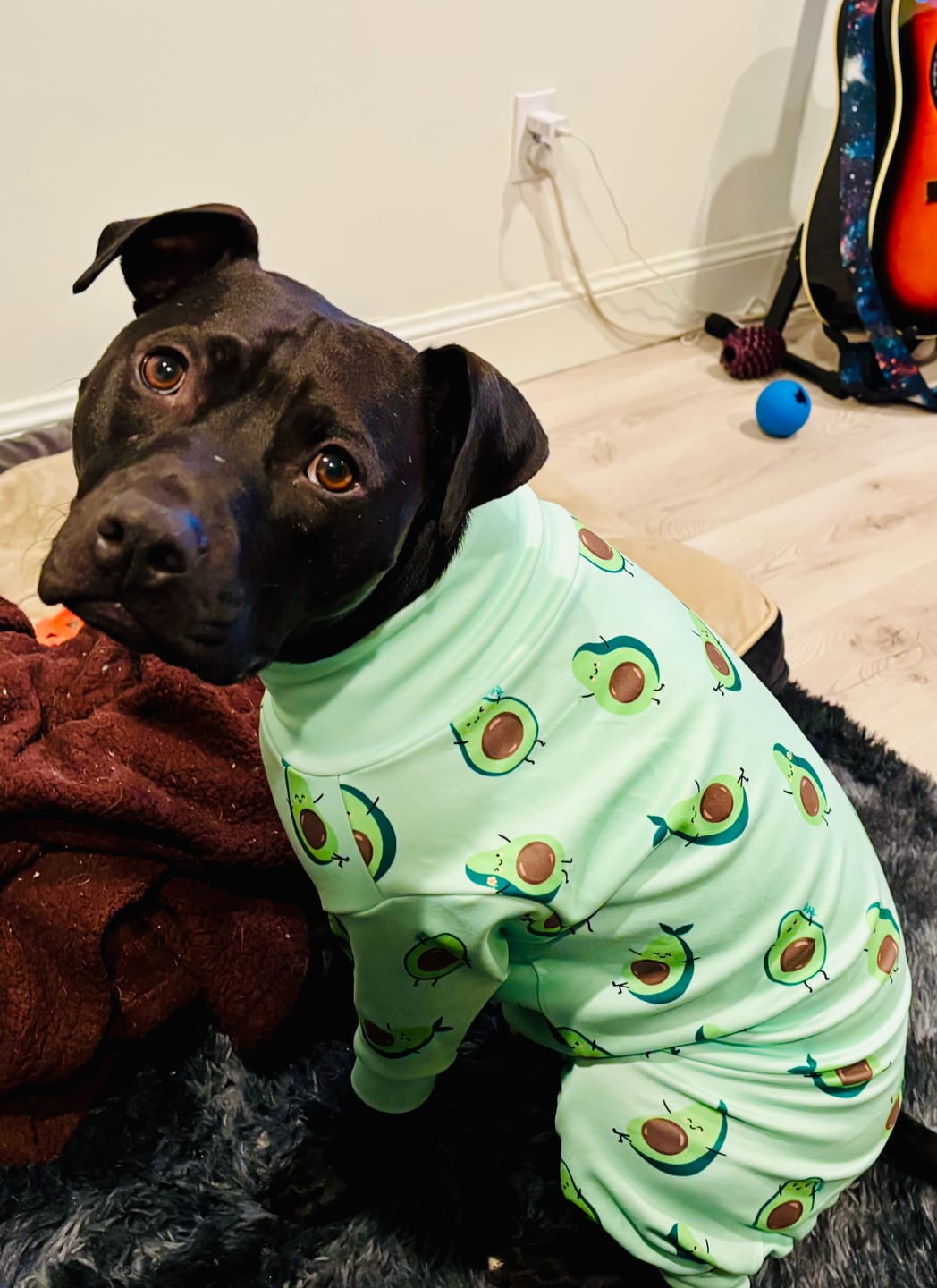 Customer photo review of Dog Pajama - Avocado
