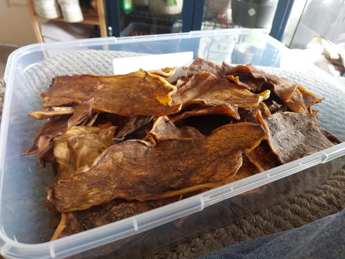 Customer photo review of Beef Skin Chews