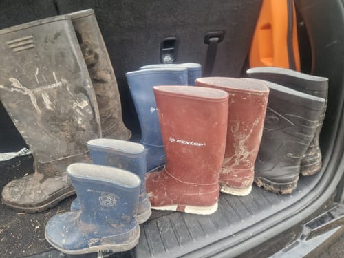 Customer photo review of Junior Sport Wellington