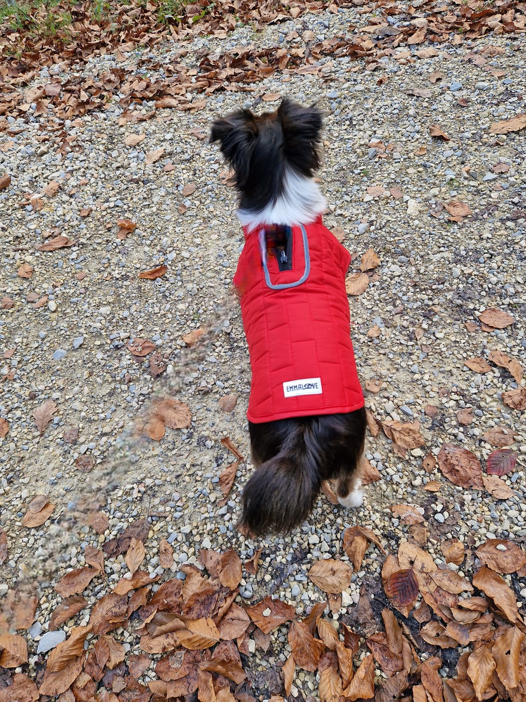 Customer photo review of Emmalove - Wasserdichte Hundeweste