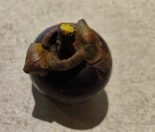 Customer photo review of Mangostan naturbelassen